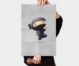 Flying Ninja