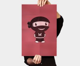 Woo Ninja