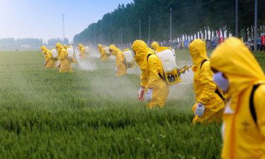 FoodSafetyNewsGlyphosateControversy1